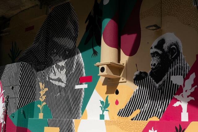 Citypeach Graz | Foto: Gernot Passath