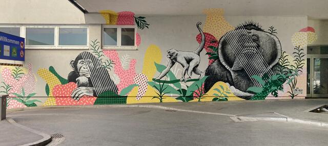 Leiner Graz | Foto: Gernot Passath