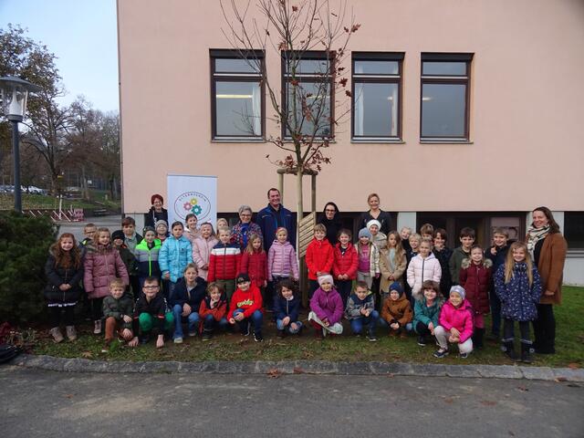 Rund um das Volksschulgebäude wurden Eichen gepflanzt. | Foto: VS Kirchberg