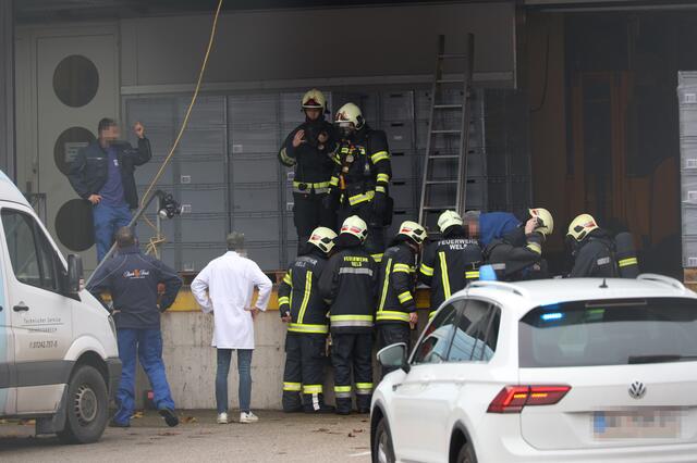 Nach einem Ammoniak-Austritt beim Resch&amp;Frisch Produktionsbetrieb in Wels-Schafwiesen kam es zu einem Großeinsatz der Einsatzkräfte. Die Betriebsstätte musste evakuiert und Verletzte versorgt werden. | Foto: laumat.at