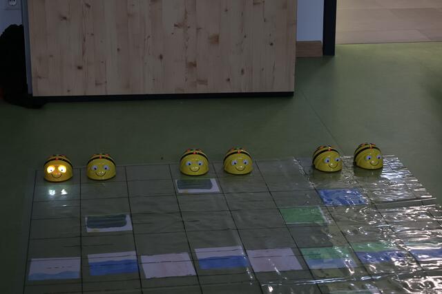 Programmieren der Bienen im Informatikraum | Foto: Isabella Florian