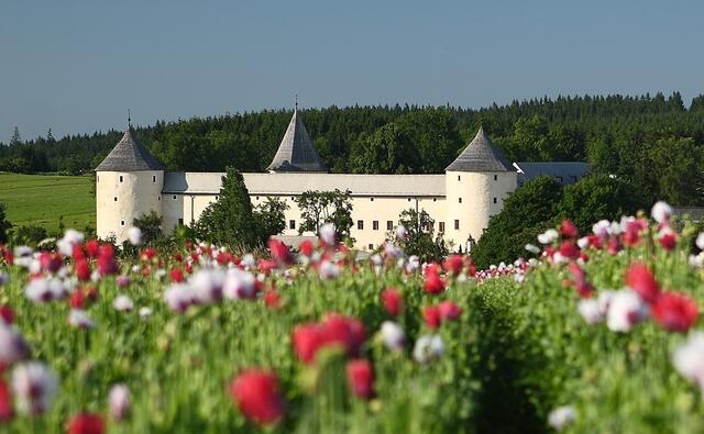 Das Schloss Ottenschlag steht um 3,37 Millionen Euro zum Verkauf. Für die gesamte Region wird dies zukunftsweisend. | Foto: Archiv
