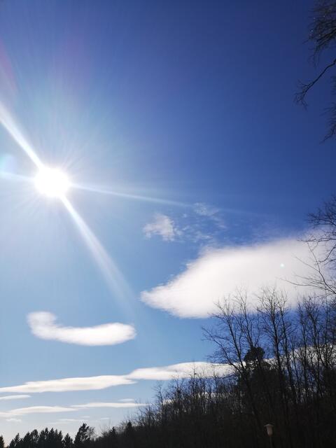 Herrlicher Tag heute. Liebe Grüße!  | Foto: Elisabeth Paukovitsch