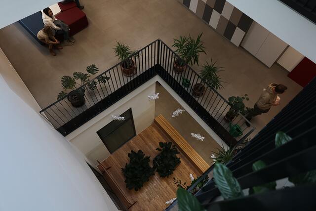 3 Stockwerke hoch | Foto:  ZAKALL Dorothea 