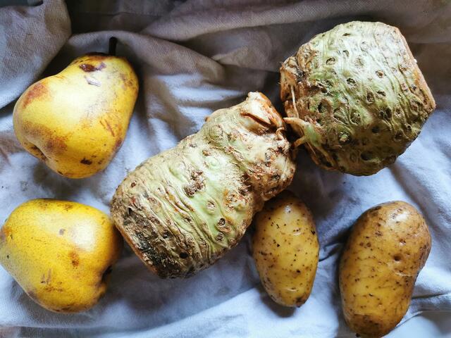 Aus wenigen Zutaten entsteht eine schmackhafte Suppe | Foto: Katrin Ebetshuber