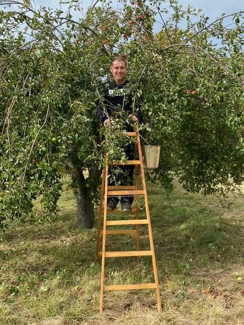 Daniel Sommer ist begeistert vom eigenen Obst im Stoober Biri - "eine wunderbare Ressource!" | Foto: Foto: Sommer
