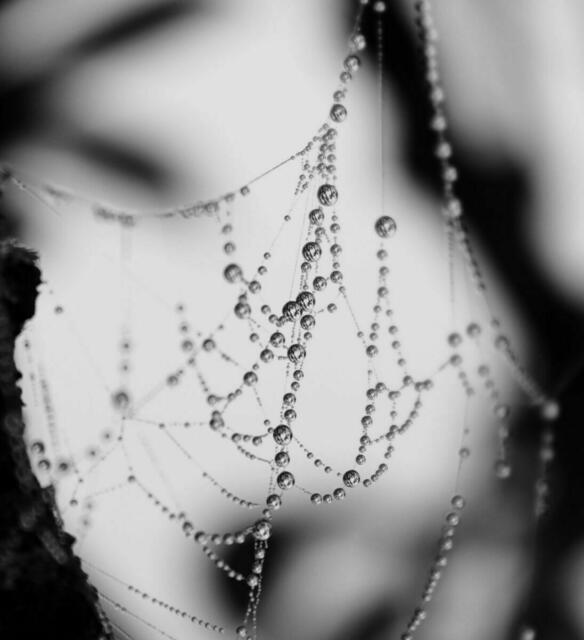 Perlenkette | Foto: Monika Mecsériné Felde