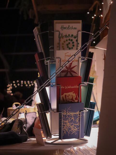 Foto: Alejandra Ortiz