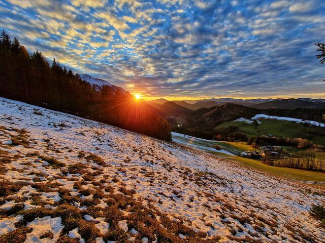 Abendsonne am Weg hoch zum Maiszinken in Lunz am See | Foto: Christian Hahn