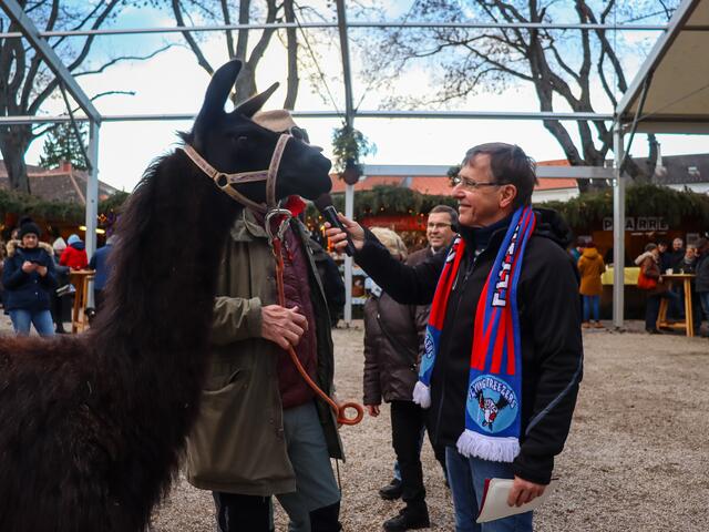 Foto: Alejandra Ortiz