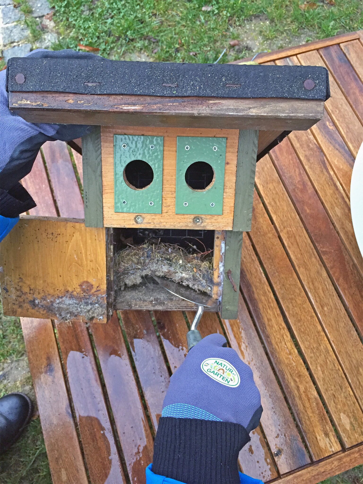 GartenTipps Nistkästen für Vögel muss man im Spätherbst gut säubern