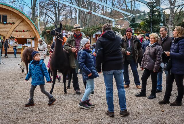 Foto: Alejandra Ortiz