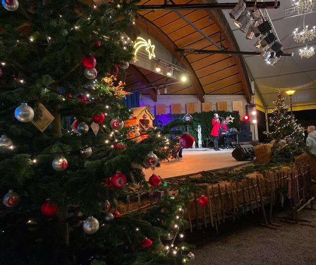 Foto: Alejandra Ortiz