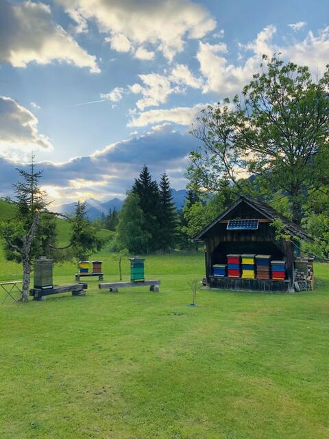 Die Imker finden sich seit 1897 zusammen. | Foto: Imkerverein Weissensee