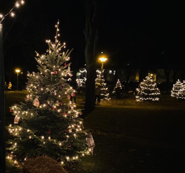 Foto: Alejandra Ortiz