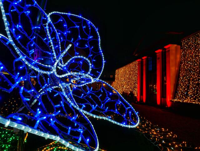 Mehr Fotos könnt ihr in meinem neuen Beitrag: "Klosterneuburg Lichteradvent" sehen.