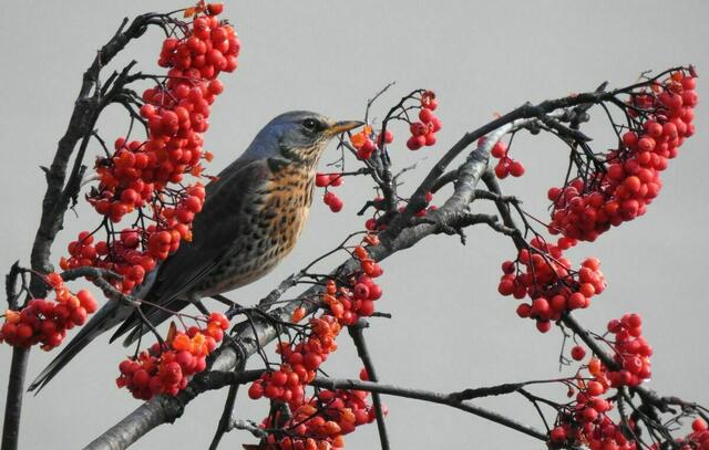 xDie gehören noch mir ..... | Foto: Veronika Bolha
