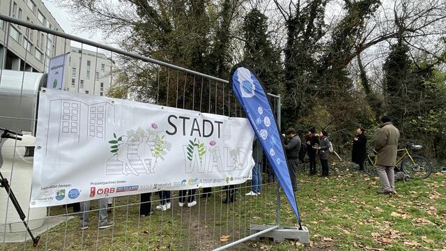 Das Projekt Stadtwald soll Klimawandel und Natur im urbanen Raum sichtbar machen und soziale Innovation für die Energiewende fördern.  | Foto: Kathrin Klemm