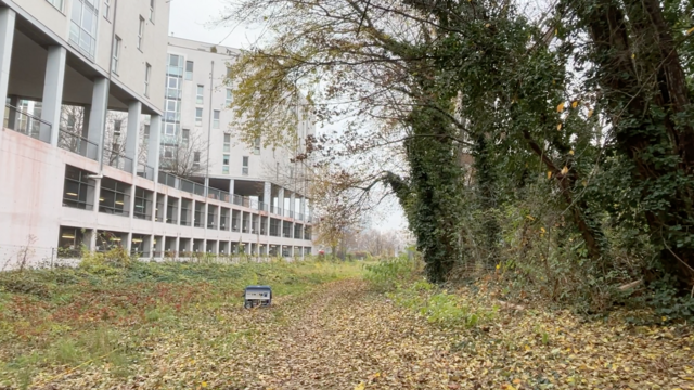 Das Projekt Stadtwald soll Klimawandel und Natur im urbanen Raum sichtbar machen und soziale Innovation für die Energiewende fördern.  | Foto: Kathrin Klemm