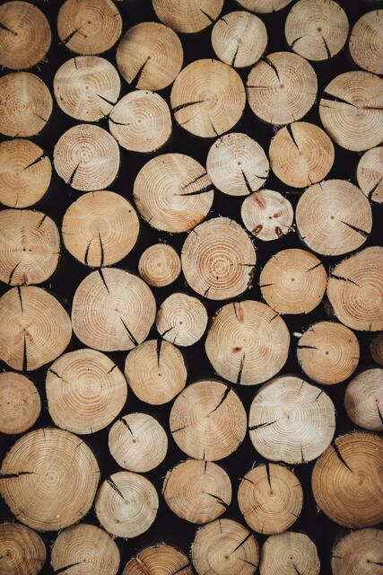 Foto:  Alexandre Jaquetoni/Unsplash