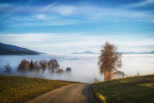 Hart an der Nebelgrenze