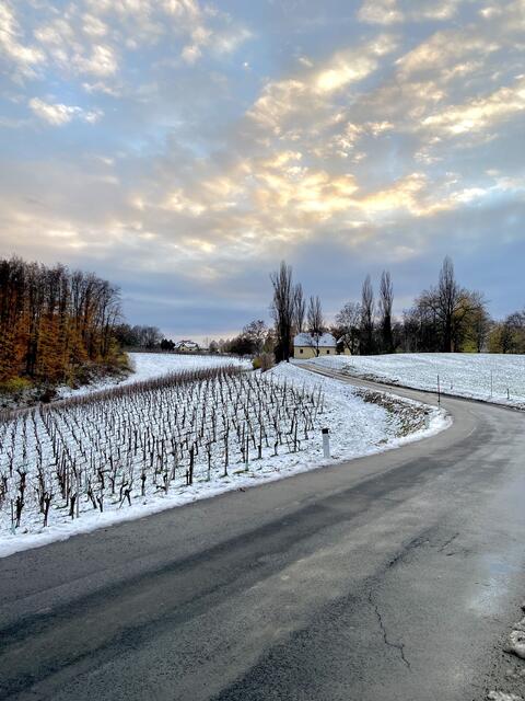 Wunderschönes Schneefoto von unserer Regionautin Gabriela Mozaieks! | Foto: Gabriela Mozaieks