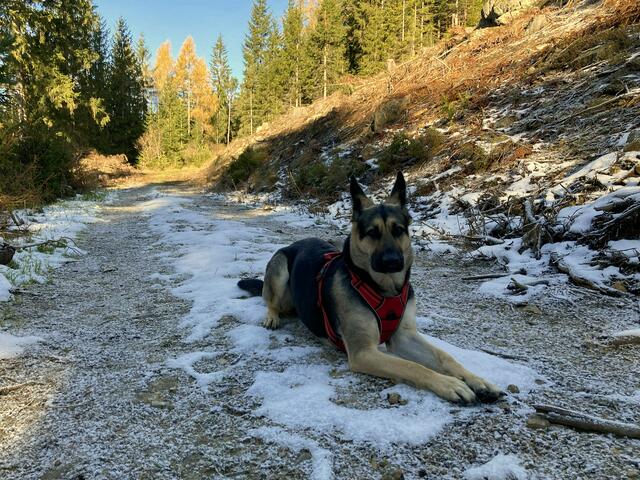 Eine kurze Pause im Schneebett | Foto: Karl Maderbacher