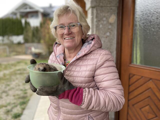 Elisabeth Engl aus Pfongau kümmerte sich heuer um fünf Igel.