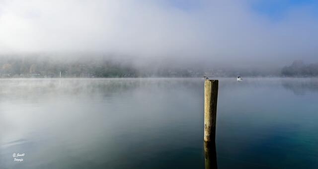 .......einen Hingucker braucht man......