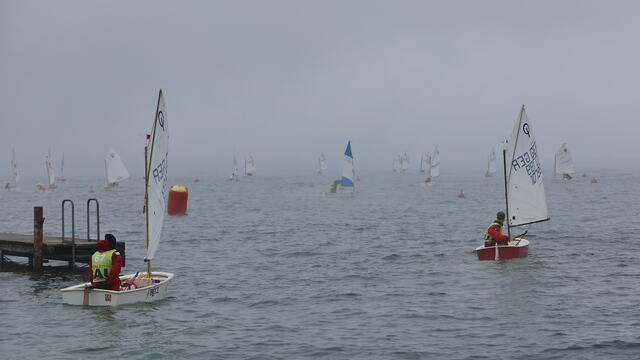 Foto: Helmut Klein