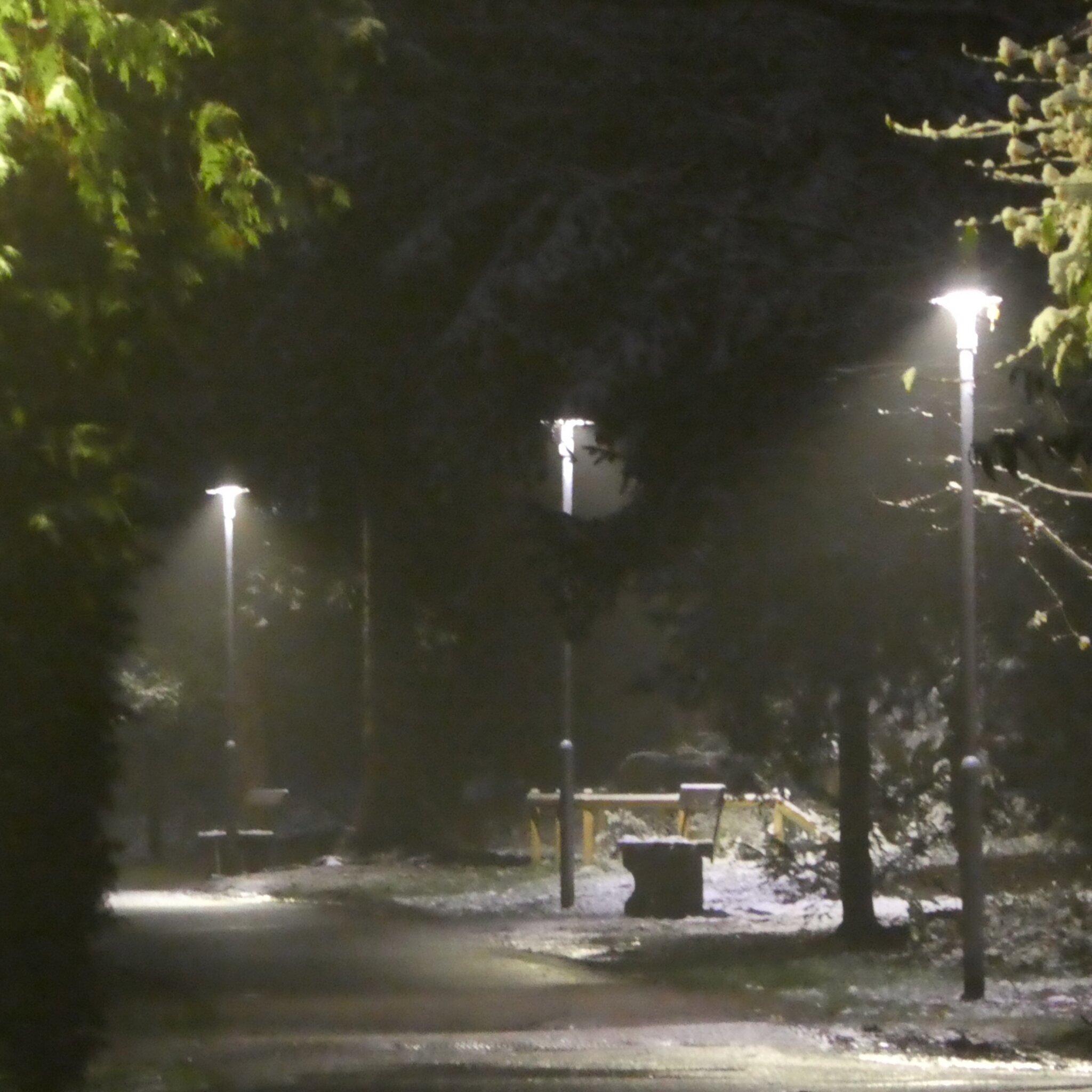 Zeig uns deine besten Schnappschüsse: Bilder der Woche 📸 - Neunkirchen