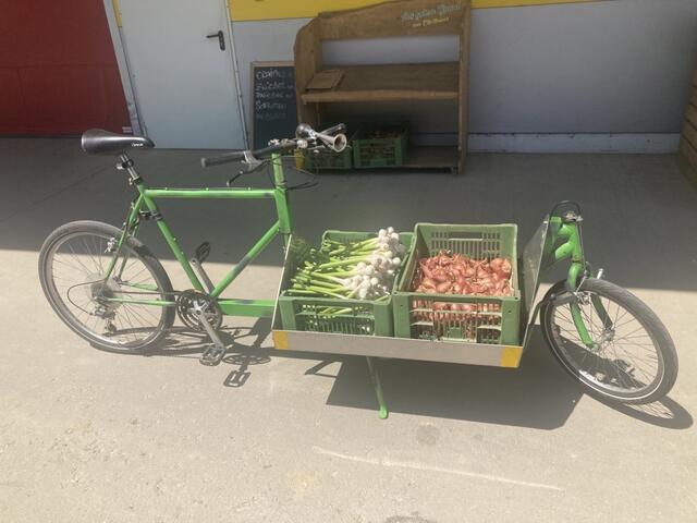 Foto: Thomas Kraxberger