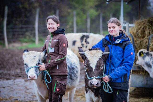 Der Besuch des Stalles stellte einen weiteren Höhepunkt beim Tag der offenen Tür der LFS Hollabrunn dar. | Foto: Karin Zenger