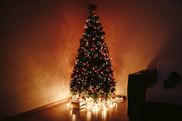 Ab 10. Dezember können wieder VinziRast-Christbäume gekauft werden.  | Foto: Pexels