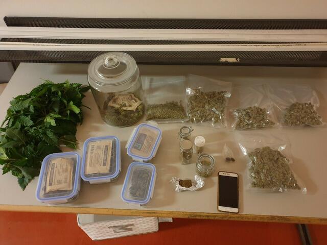 23 Cannabispflanzen, eine größere Menge verpacktes Cannabis, Bargeld sowie eine Feinwaage und ein Mobiltelefon wurden sichergestellt. | Foto: LPD Wien
