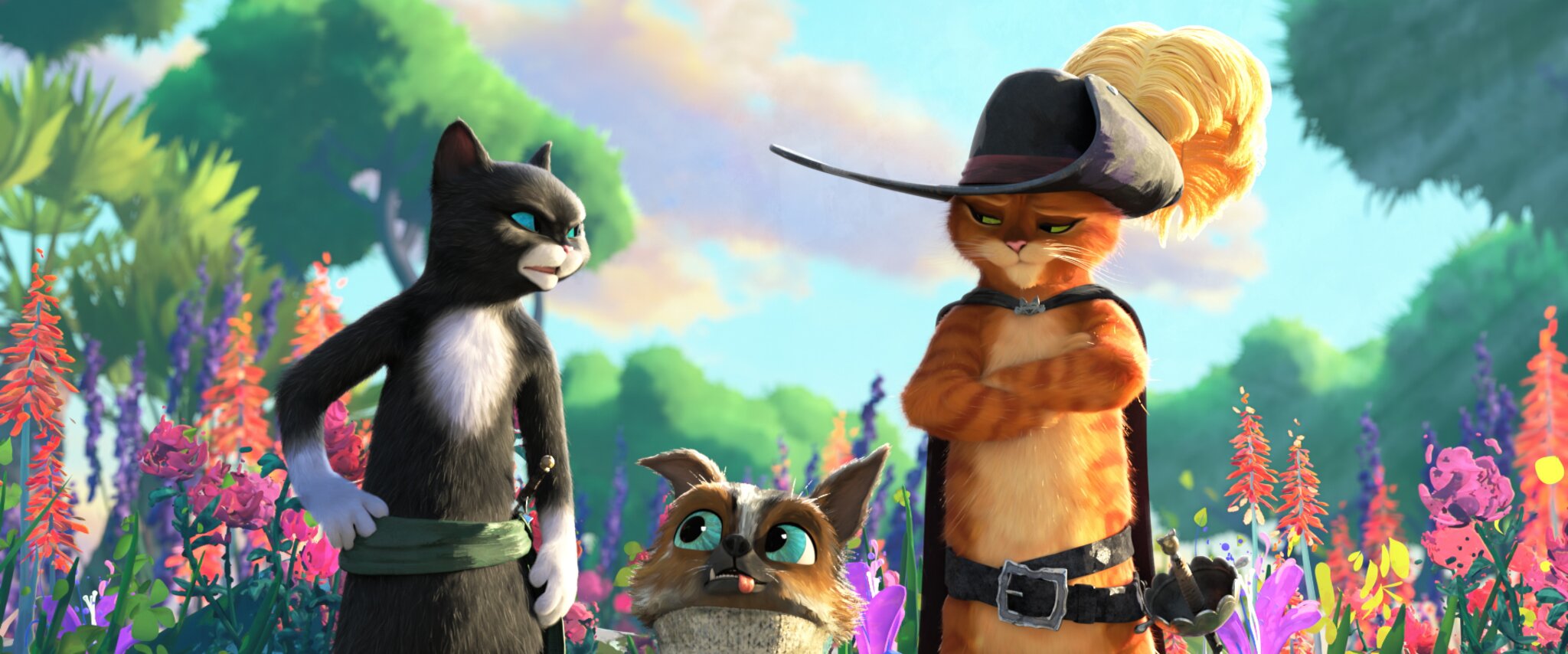Star Movie Kinotipp: 