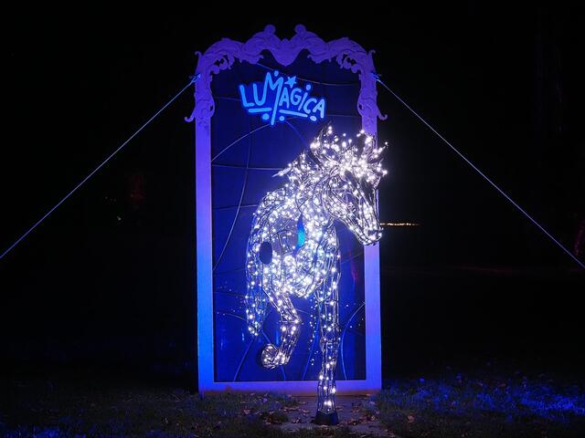 "Lumagica" Lichterfestival begeistert Groß und Klein.