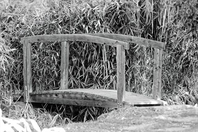 ......in SW kommen die Details der Brücke besser raus....