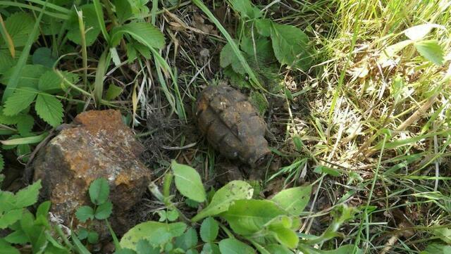 Ein Metallsucher grub die Handgranate aus der Erde (Symbolfoto). | Foto: Landespolizeidirektion Burgenland