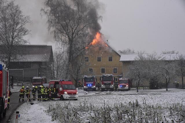 Foto: Alois Braid/zema-medien.de