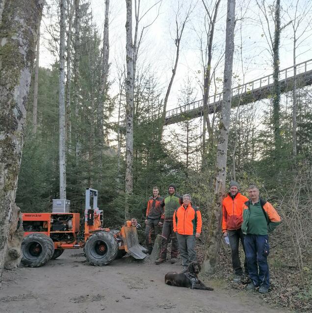 Die Maßnahmen fanden u.a. im Nahbereich des Baumkronenweges statt. | Foto: Amt für Ernährung, Landwirtschaft und Forsten Kaufbeuren
