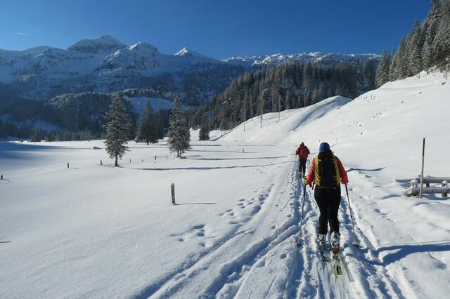 Am Weg von der Vordergnadenalm zur Hintergnadenalm mit Blick auf den Hauptkamm der Radstädter Tauern.  | Foto: Thomas Neuhold