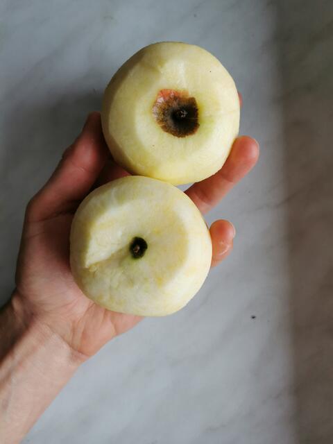 Die Äpfel schälen. | Foto: Katrin Ebetshuber