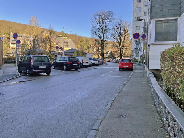 Unter anderem in der Bad Säckingenstraße tritt die Regel in Kraft.  | Foto: Marlene Trenker