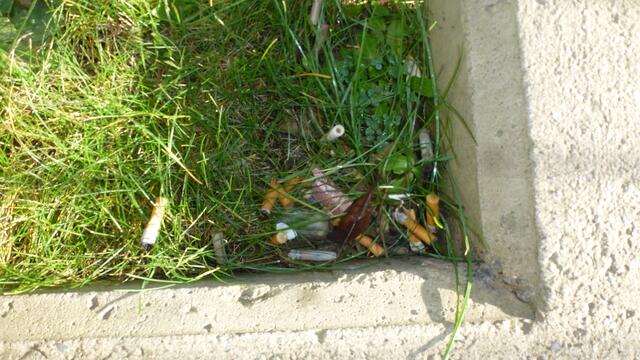 Grüner Aschenbecher in Graz, oder wie entsorge ich meinen Tschickstummel am einfachsten :-(