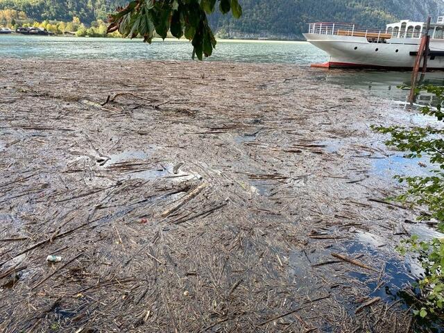 Auch der Traunsee ist von Schwemm- und Treibholz massiv betroffen. | Foto: Christian Bammer