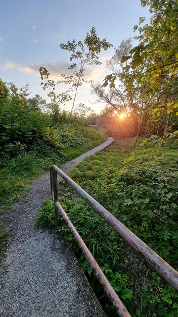 Michaela Etl war unterwegs auf der Brücke in die Innauen Reichersberg an einem lauen Sommerabend im Juli 2022.

 | Foto: Michaela Etl