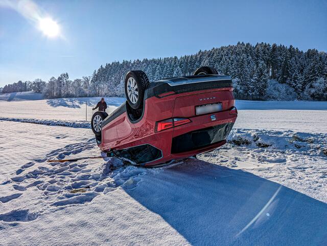 Foto: TEAM FOTOKERSCHI.AT / BRANDSTÄTTER