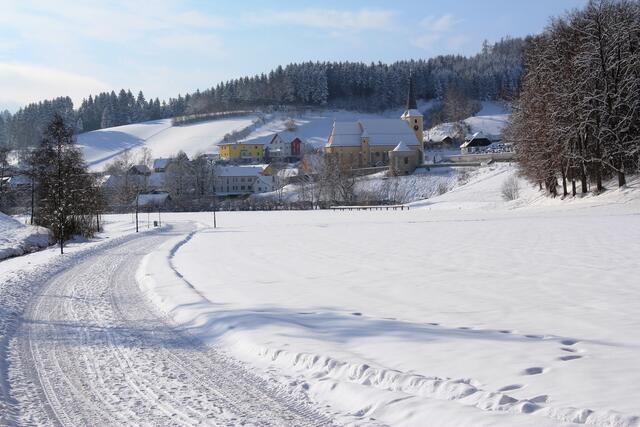 Am Naturkulturweg in Waldhausen wandern. | Foto: Manfred Hinterdorfer