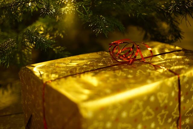 Wie feiern die Spitzen der Döblinger Kommunalpolitik eigentlich Weihnachten? | Foto: karosieben/pixabay